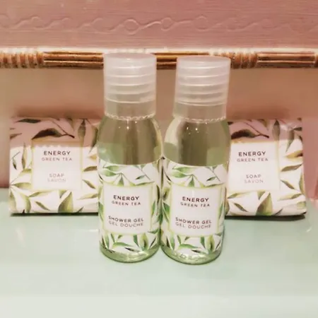 Hotel Azurene Royal 2*